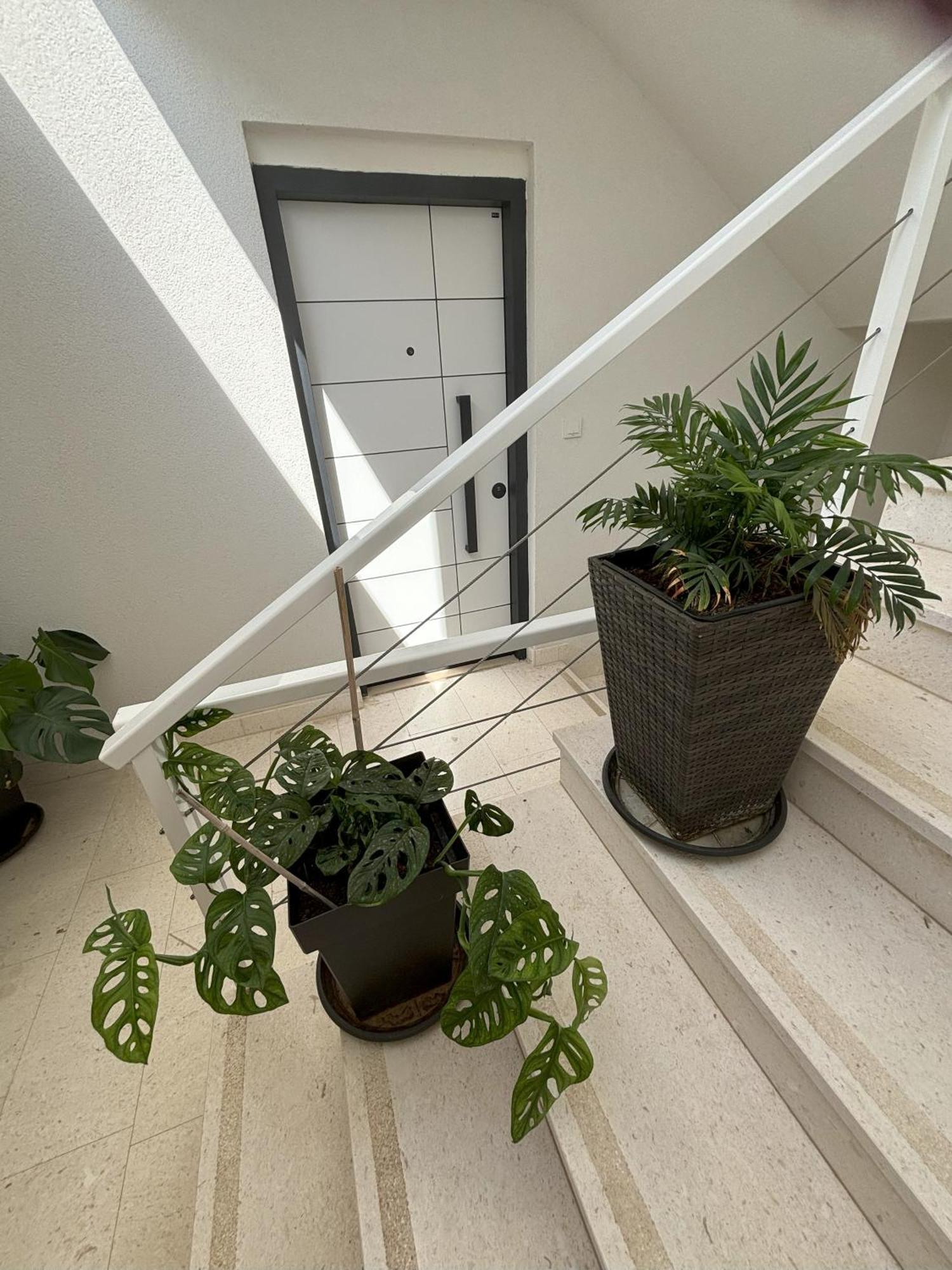 Vila Regina Apartment Rex With Swimming Pool Jezera Εξωτερικό φωτογραφία